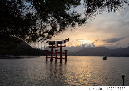 広島宮島厳島神社の大鳥居夕暮れ満潮 広島宮島厳島神社の大鳥居夕暮れ満潮 102117422