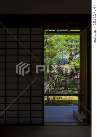 妙心寺 退蔵院 方丈(本堂)の座敷から見た元信の庭 妙心寺 退蔵院 方丈(本堂)の座敷から見た元信の庭 102117547