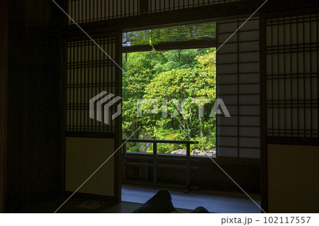 妙心寺　退蔵院　方丈（本堂）の座敷から見た元信の庭 102117557