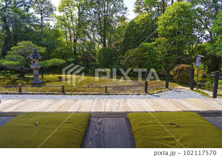 妙心寺 退蔵院 方丈(本堂)縁側廊下 妙心寺 退蔵院 方丈(本堂)縁側廊下 102117570