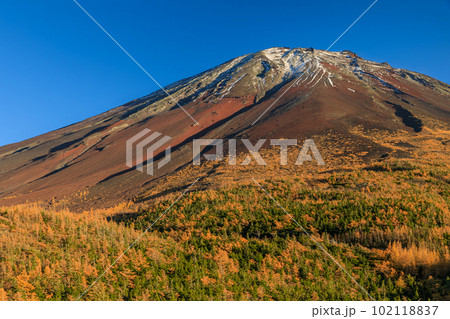 富士山奥庭_紅葉する唐松樹林の絶景 富士山奥庭_紅葉する唐松樹林の絶景 102118837