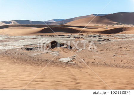 Barren landscape near Deadvlei and sossusvlei Barren landscape near Deadvlei and sossusvlei 102118874