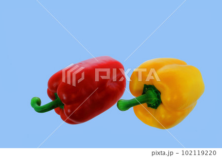 赤と黄色のパルりヵ 赤と黄色のパルりヵ 102119220