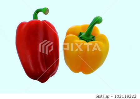 赤と黄色のパルりヵ 赤と黄色のパルりヵ 102119222