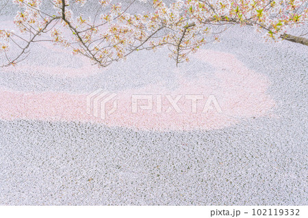 東北の春絶景　弘前城外堀の花筏 102119332