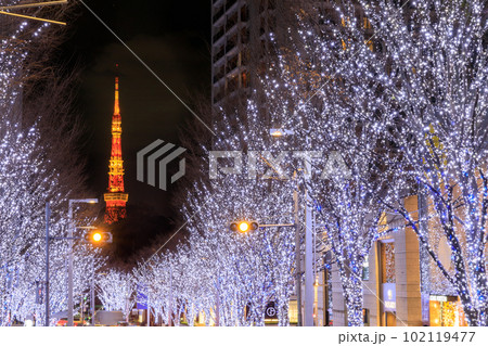 東京タワーと冬のけやき坂ライトアップの絶景風景 102119477