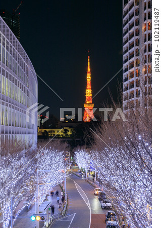 東京タワーと冬のけやき坂ライトアップの絶景風景 東京タワーと冬のけやき坂ライトアップの絶景風景 102119487