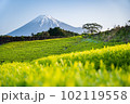 富士山と茶畑 102119558