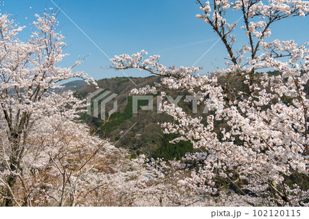 桜咲く春の山並み風景イメージ 桜咲く春の山並み風景イメージ 102120115