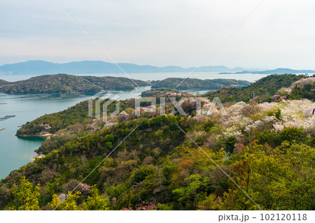 山桜咲く春の瀬戸内海の風景イメージ 山桜咲く春の瀬戸内海の風景イメージ 102120118