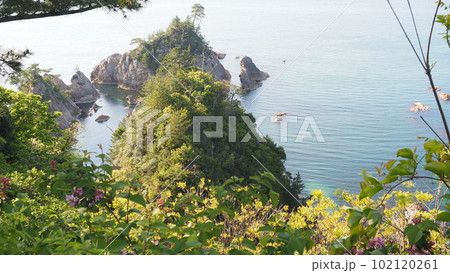 新緑と菜種五島 102120261