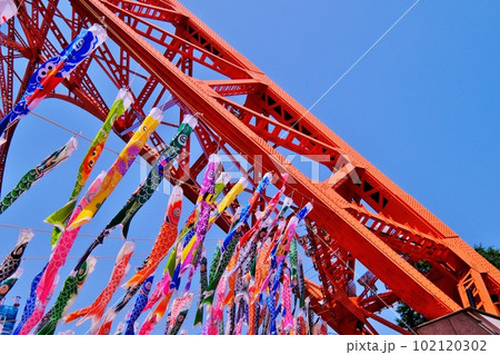 鯉のぼり舞う東京タワー 鯉のぼり舞う東京タワー 102120302
