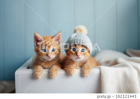 Ginger kittens sitting together. Generative AI 102121443