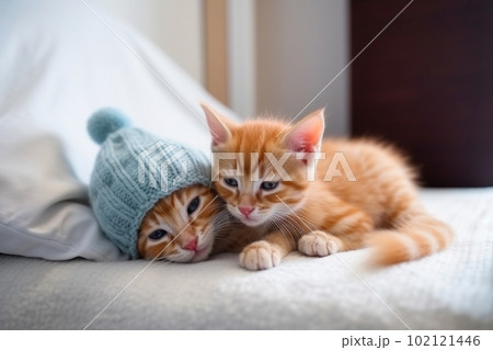 Ginger kittens sleeping together. Generative AI 102121446