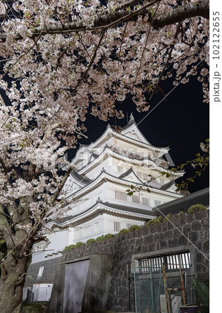 千葉城桜ライトアップ 102122655