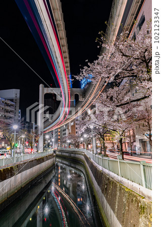 桜とレーザービーム 102123347