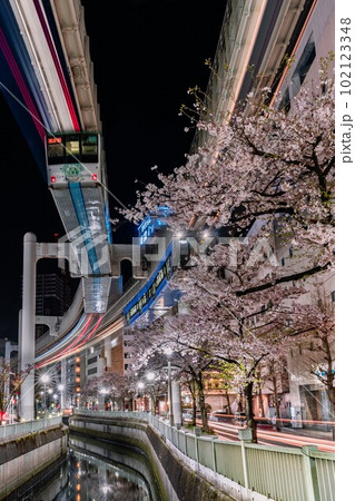 千葉都市モノレールと桜 千葉都市モノレールと桜 102123348