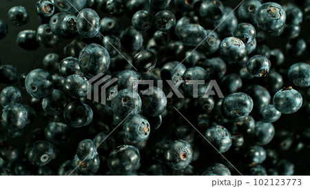 Falling blueberry, isolated on black background Falling blueberry, isolated on black background 102123773
