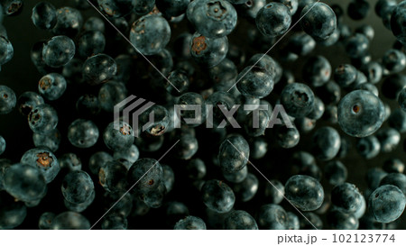 Falling blueberry, isolated on black background Falling blueberry, isolated on black background 102123774