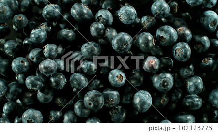 Falling blueberry, isolated on black background Falling blueberry, isolated on black background 102123775