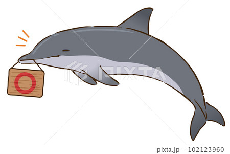 丸マークをくわえるバンドウイルカ 丸マークをくわえるバンドウイルカ 102123960