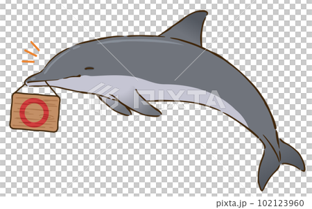 拿著圓圈記號的寬吻海豚 拿著圓圈記號的寬吻海豚 102123960