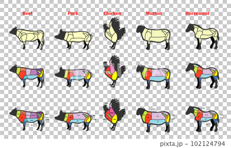 Illustration of cow pig chicken horse sheep parts 102124794