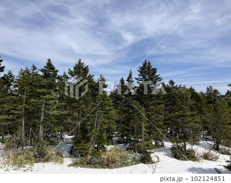 春スキー＿志賀高原横手山　_渋峠スキー場_春先のスキー場_残雪 102124851