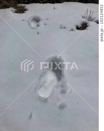 春スキー_志賀高原横手山 _渋峠スキー場_春先のスキー場_残雪 春スキー_志賀高原横手山 _渋峠スキー場_春先のスキー場_残雪 102124852