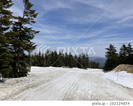 春スキー_志賀高原横手山 _渋峠スキー場_春先のスキー場_残雪 春スキー_志賀高原横手山 _渋峠スキー場_春先のスキー場_残雪 102124854
