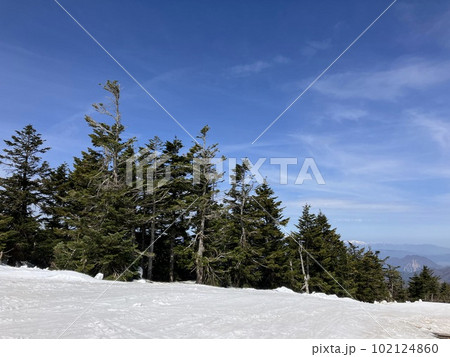 春スキー＿志賀高原横手山　_渋峠スキー場_春先のスキー場_残雪 102124860