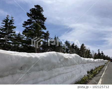 志賀高原横手山_渋峠_春先_残雪_雪の壁 102125712