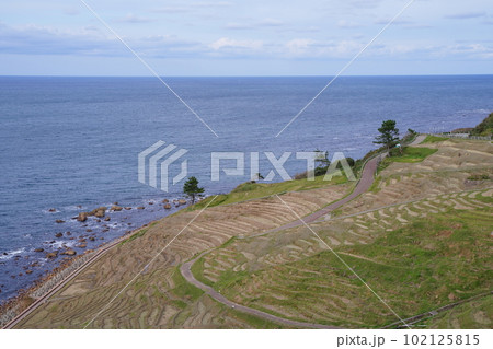 白米千枚田、石川県、輪島市、白米町、棚田、千枚田、案内板、狭い田、白米、千枚田、指定名称、名勝、能登 白米千枚田、石川県、輪島市、白米町、棚田、千枚田、案内板、狭い田、白米、千枚田、指定名称、名勝、能登 102125815