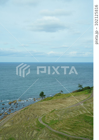 白米千枚田、石川県、輪島市、白米町、棚田、千枚田、案内板、狭い田、白米、千枚田、指定名称、名勝、能登 白米千枚田、石川県、輪島市、白米町、棚田、千枚田、案内板、狭い田、白米、千枚田、指定名称、名勝、能登 102125816