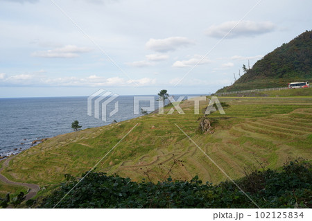 白米千枚田、石川県、輪島市、白米町、棚田、千枚田、案内板、狭い田、白米、千枚田、指定名称、名勝、能登 白米千枚田、石川県、輪島市、白米町、棚田、千枚田、案内板、狭い田、白米、千枚田、指定名称、名勝、能登 102125834