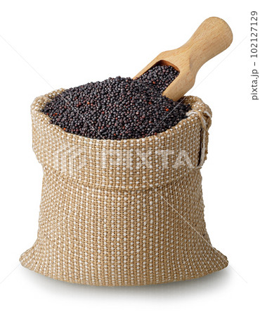 rapeseed seeds in bag with scoop isolated on white background 102127129