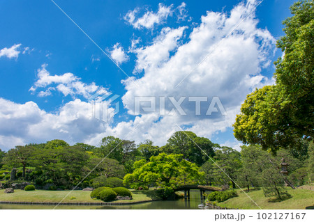 初夏の青空と新緑に包まれた日本庭園 102127167