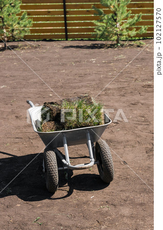 Rolls of lawn grass on sunny day - country house and landscape design Rolls of lawn grass on sunny day - country house and landscape design 102127570