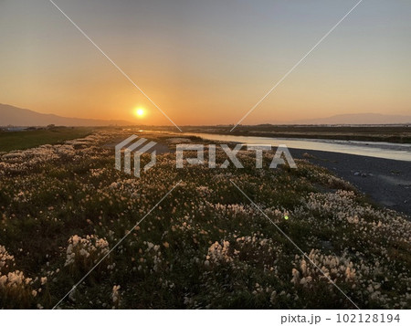 仕事帰りのススキが揺れる夕焼け 福岡県うきは市の写真素材 [102128194 
