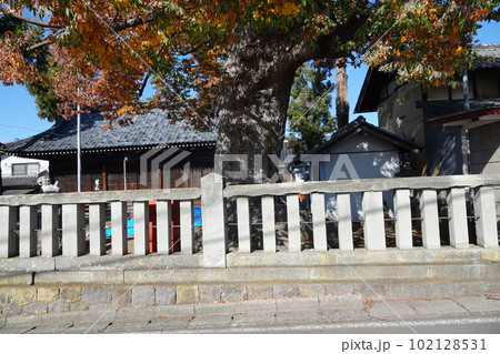 長野県埴科郡坂城町中之条の中條神社の欅伐採工事前の風景 長野県埴科郡坂城町中之条の中條神社の欅伐採工事前の風景 102128531