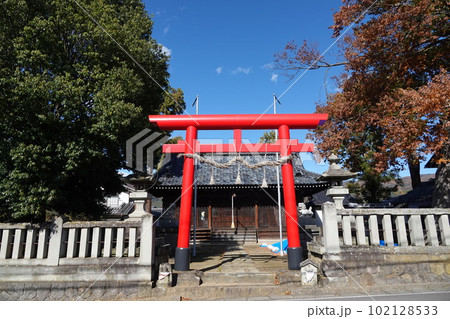 長野県埴科郡坂城町中之条の中條神社の欅伐採工事前の風景 長野県埴科郡坂城町中之条の中條神社の欅伐採工事前の風景 102128533