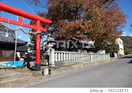 長野県埴科郡坂城町中之条の中條神社の欅伐採工事前の風景 102128535
