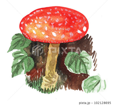 水彩で描いたベニテングタケ23430pix7 102128695