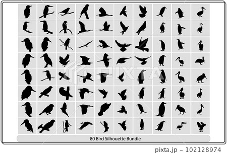 Flying birds silhouettes on white background. Vector illustration,Collection of different birds silhouettes position.Vector Collection of Bird Silhouettes Flying birds silhouettes on white background. Vector illustration,Collection of different birds silhouettes position.Vector Collection of Bird Silhouettes 102128974