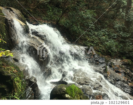 川の流れ 川の流れ 102129601