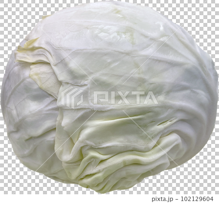 Cabbage, agricultural product Cabbage, agricultural product 102129604