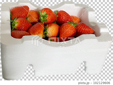 Strawberry, fruit Strawberry, fruit 102129606