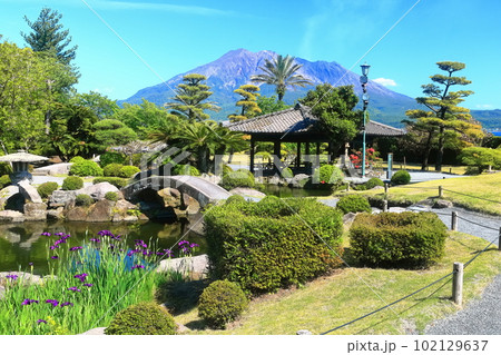 【鹿児島県】晴天の「名勝 仙巌園」から見た桜島 【鹿児島県】晴天の「名勝 仙巌園」から見た桜島 102129637