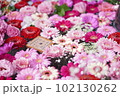 花手水　ピンクのガーベラ 102130262