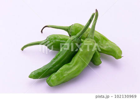 ししとう 102130969